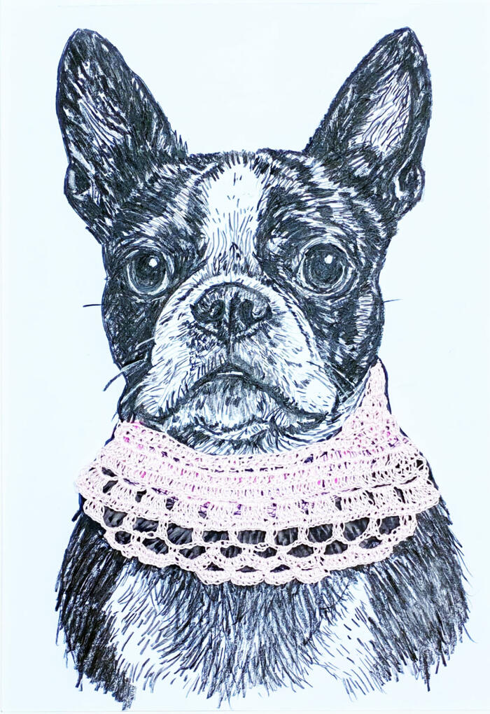 Perro bulldog con complemento pañuelo crochet en cuello rosa.