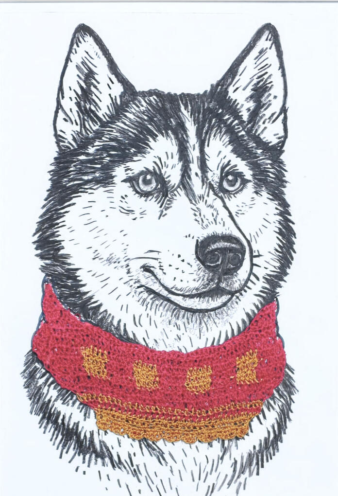 Perro Huskie con complemento de crochet en cuello colores rojo y naranja.