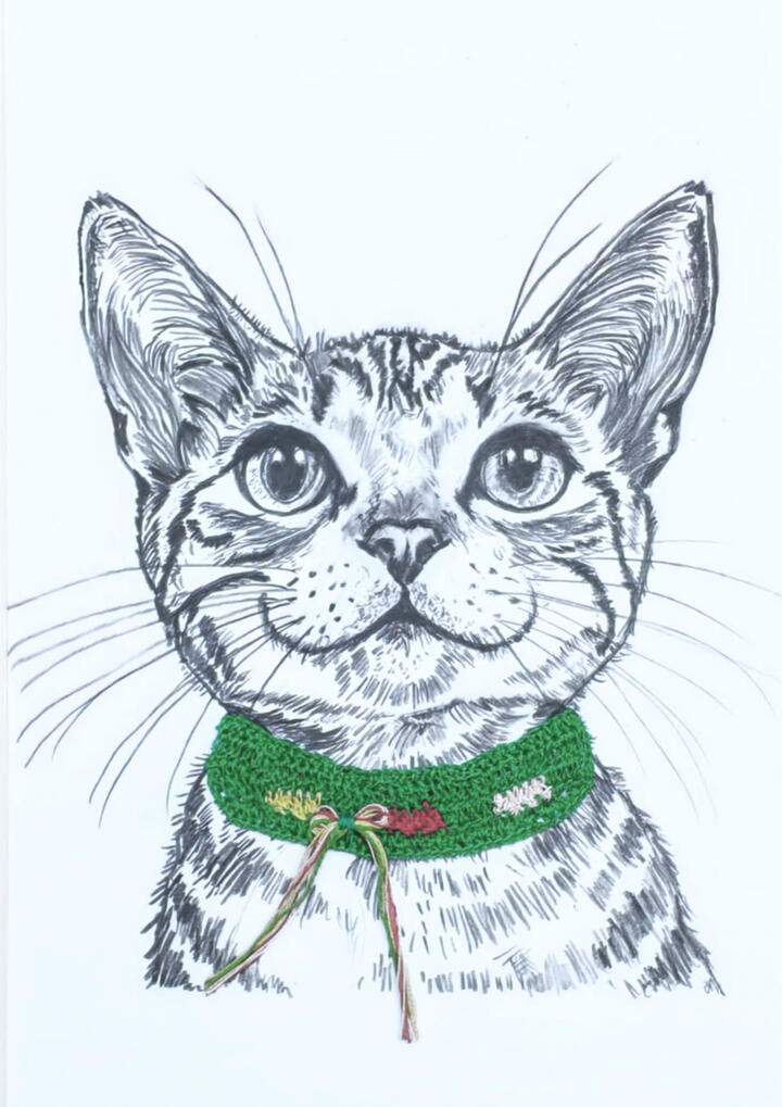 Gato atigrado con complemento de crochet collar colores verde, amarillo, rojo y rosa.