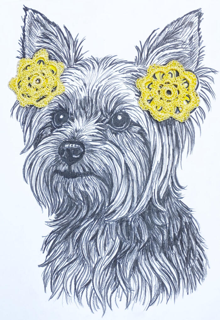 Perro Yorkshire con complemento crochet flores anmarillas en orejas.