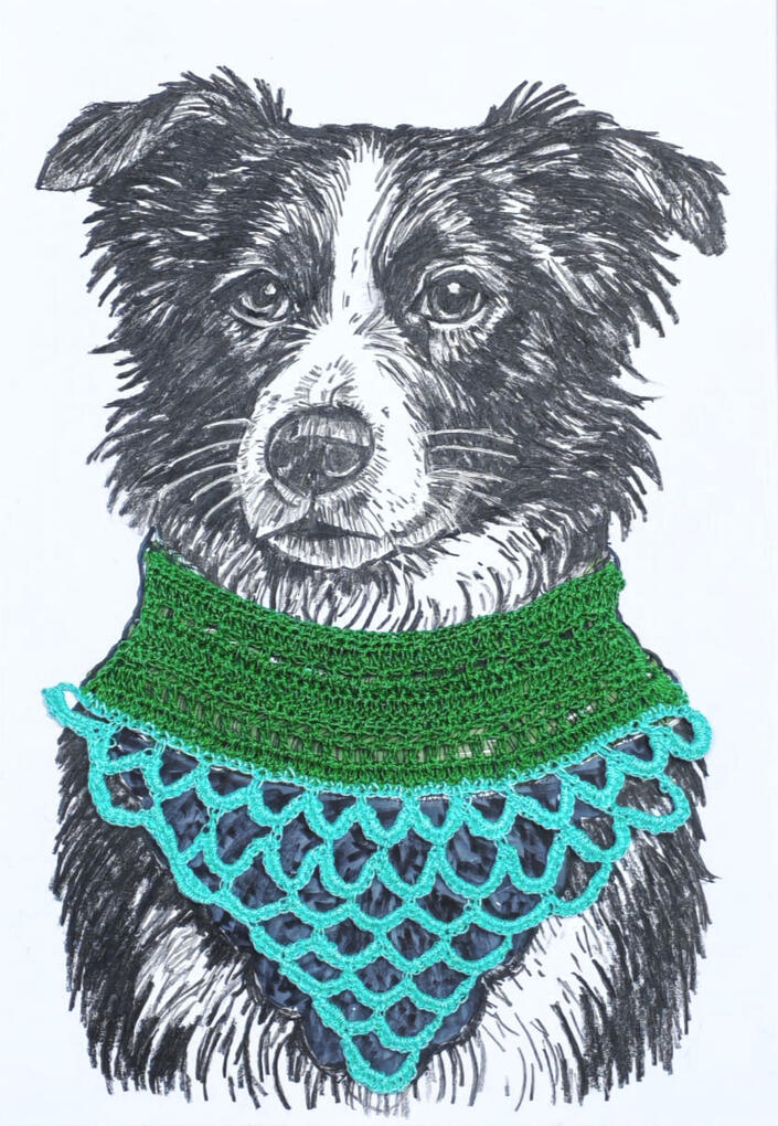 Perro Collins con complemento de crochet de cuello colores verde y turquesa.