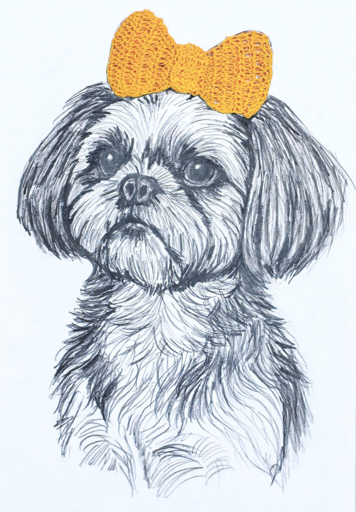Perra Shih Tzu con complemento lazo en crochet en pelo de color naranja.