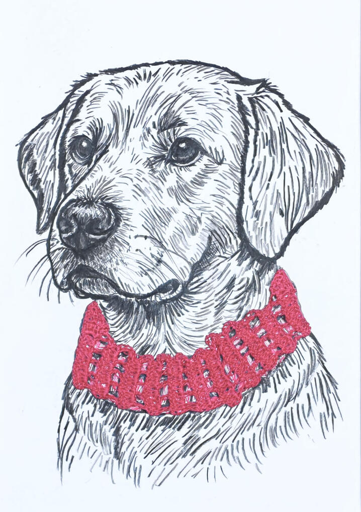 Perro Golden con complemento crochet cuello color rojo.